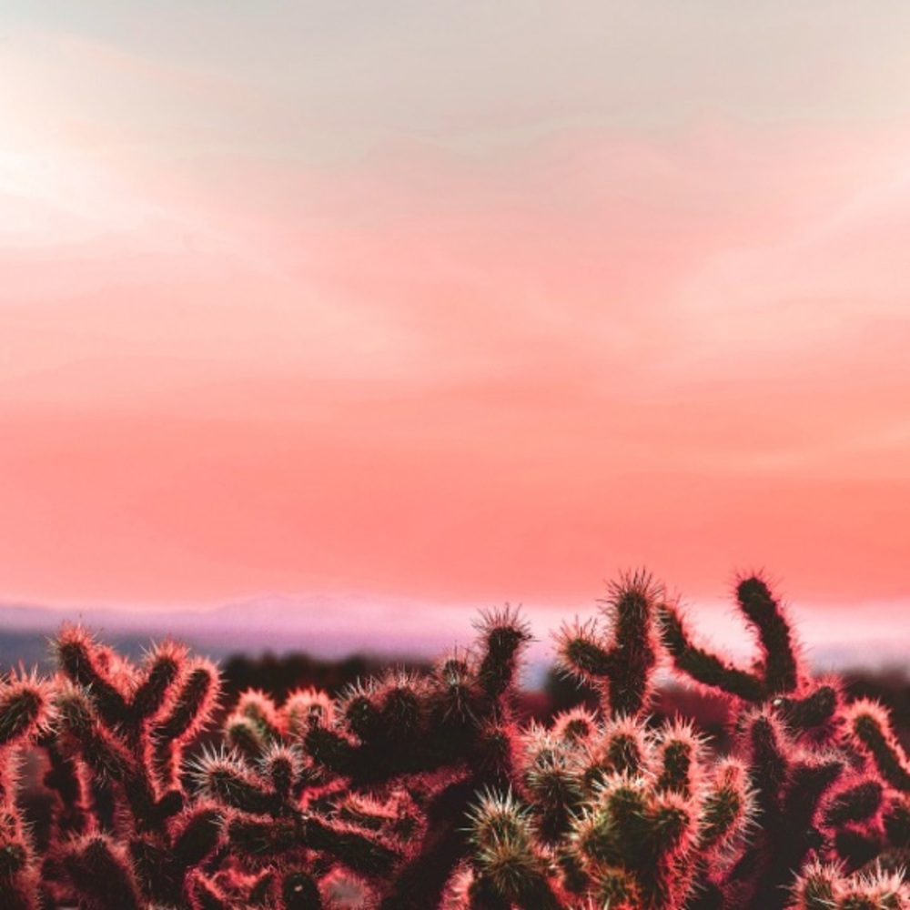 🌵Closet clean out! Make an offer 🌵